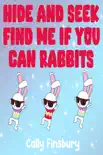 Hide and Seek Find Me If You Can Rabbits reviews