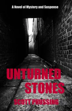 unturned stones book cover image