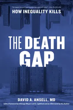 the death gap book cover image