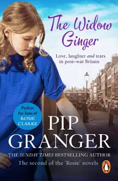 the widow ginger book cover image