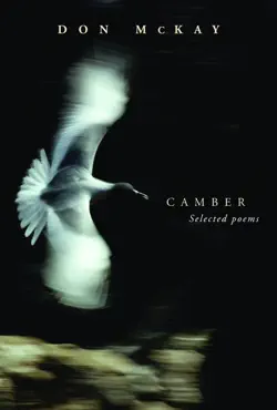 camber book cover image