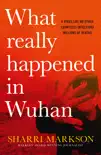 What Really Happened In Wuhan synopsis, comments