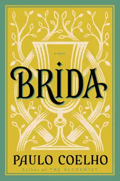 brida book cover image