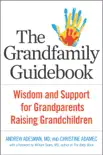 The Grandfamily Guidebook synopsis, comments