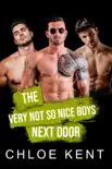 The Very Not So Nice Boys Next Door synopsis, comments
