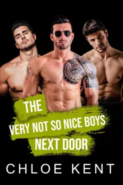 the very not so nice boys next door book cover image