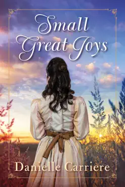 small great joys book cover image