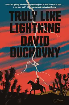 truly like lightning book cover image