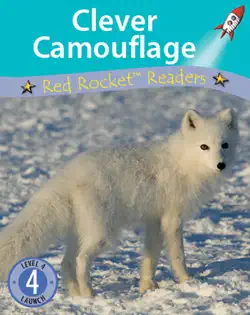 clever camouflage book cover image