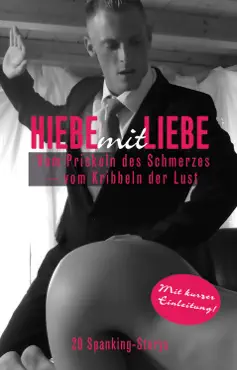 hiebe mit liebe book cover image