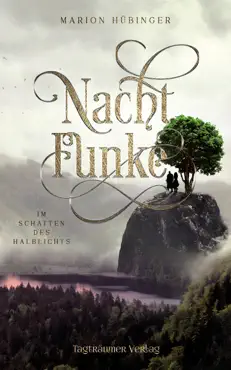 nachtfunke 2 book cover image
