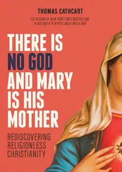 there is no god and mary is his mother book cover image