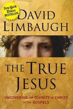 the true jesus book cover image