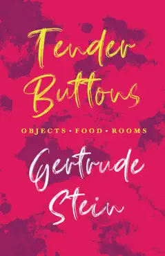 tender buttons - objects. food. rooms. book cover image