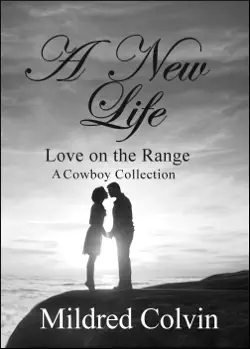 a new life book cover image