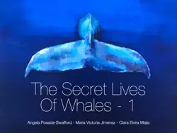 the secret lives of whales - 1 book cover image