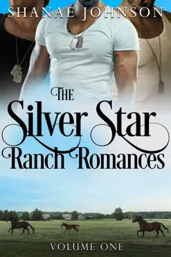 silver star ranch romances book cover image