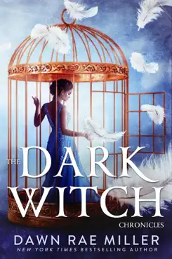 the dark witch chronicles boxset book cover image