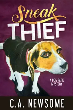 sneak thief book cover image