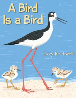 a bird is a bird book cover image