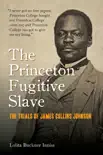 The Princeton Fugitive Slave sinopsis y comentarios