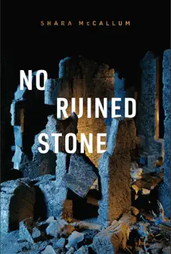no ruined stone book cover image