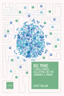 big mind book cover image