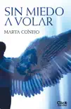 Sin miedo a volar synopsis, comments