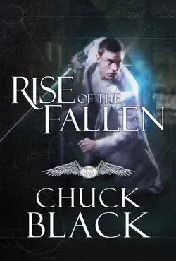 rise of the fallen book cover image