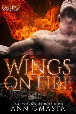 wings on fire: part 1 book cover image