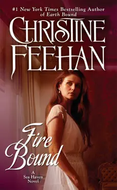 fire bound book cover image