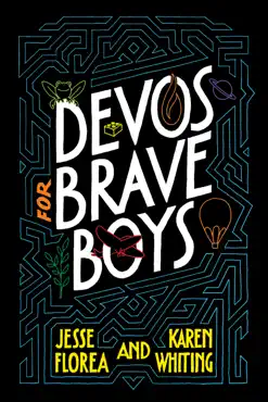 devos for brave boys book cover image