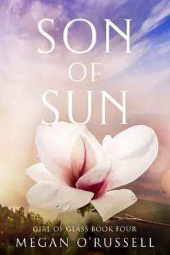 son of sun book cover image