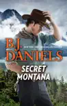Secret Montana synopsis, comments