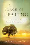 A Place of Healing synopsis, comments
