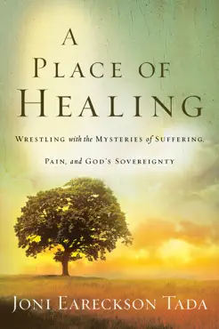 a place of healing book cover image
