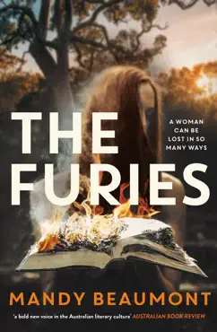 the furies book cover image