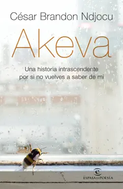 akeva book cover image