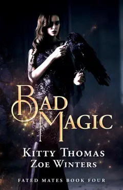 bad magic book cover image