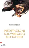 Meditazioni sul Vangelo di Matteo sinopsis y comentarios