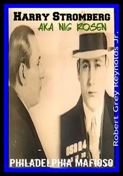 harry stromberg alias nig rosen philadelphia mafioso book cover image