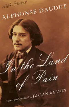in the land of pain book cover image