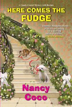 here comes the fudge book cover image