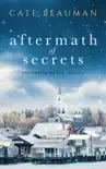 Aftermath Of Secrets synopsis, comments