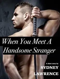 when you meet a handsome stranger book cover image