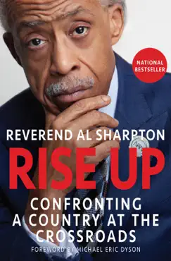 rise up book cover image