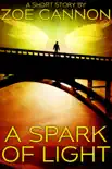 A Spark of Light synopsis, comments