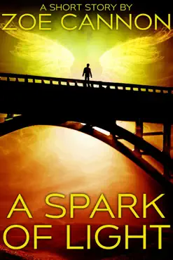 a spark of light book cover image