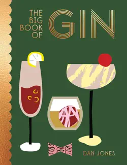 the big book of gin book cover image
