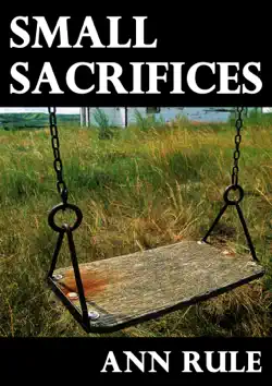 small sacrifices book cover image